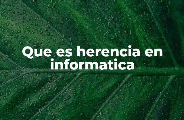 Que es Herencia en Informatica