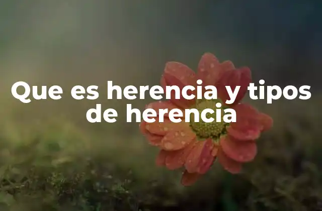 Que es Herencia y Tipos de Herencia