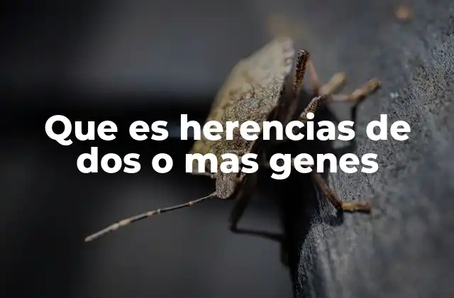 Que es Herencias de Dos o mas Genes