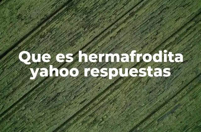 Que es Hermafrodita Yahoo Respuestas