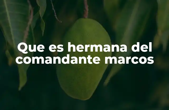 Que es Hermana Del Comandante Marcos