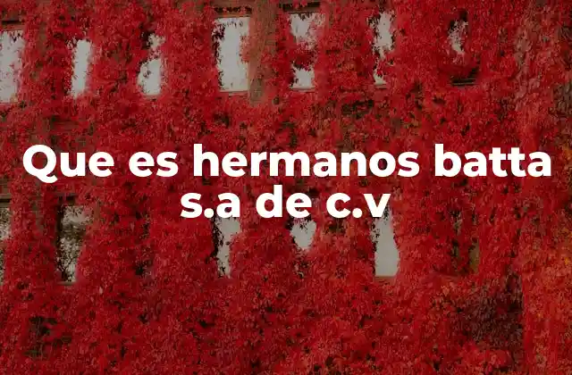 Que es Hermanos Batta S.a de C.v