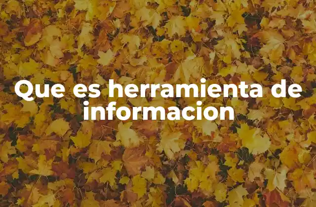 Que es Herramienta de Informacion