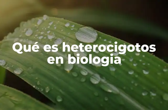 Qué es Heterocigotos en Biologia