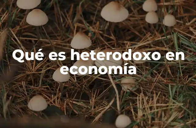 Qué es Heterodoxo en Economía