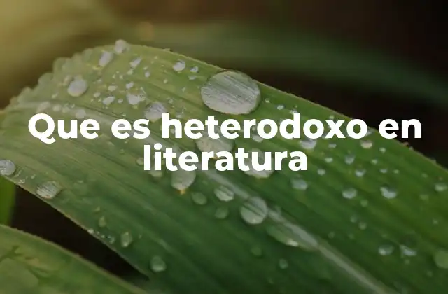 Que es Heterodoxo en Literatura