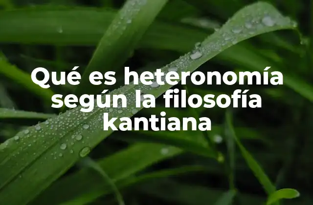 Qué es Heteronomía según la Filosofía Kantiana