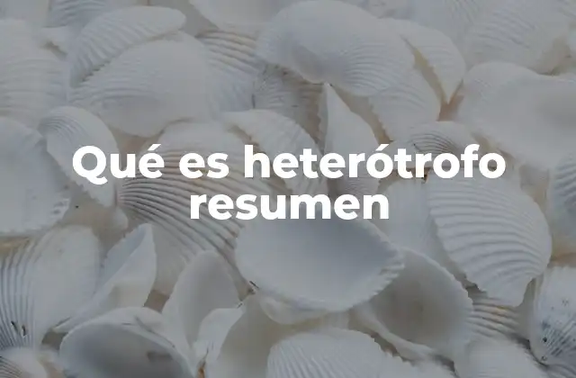 Qué es Heterótrofo Resumen