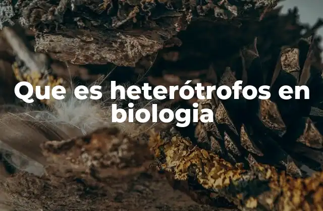 Que es Heterótrofos en Biologia