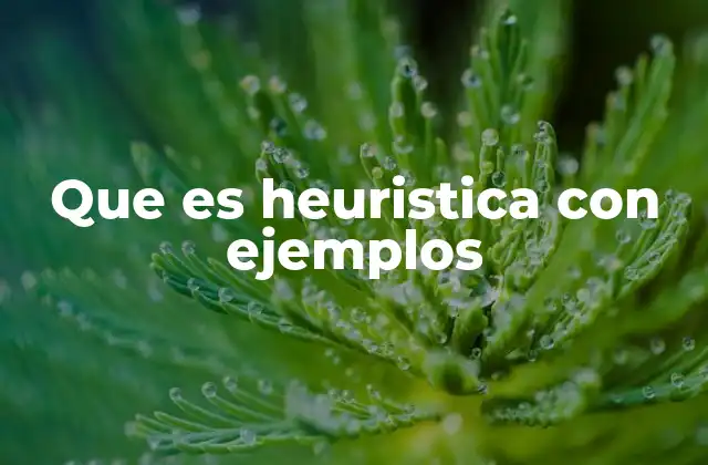 Que es Heuristica con Ejemplos