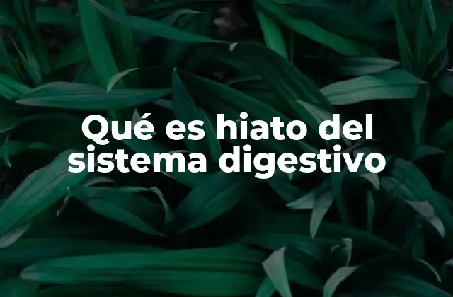Qué es Hiato Del Sistema Digestivo