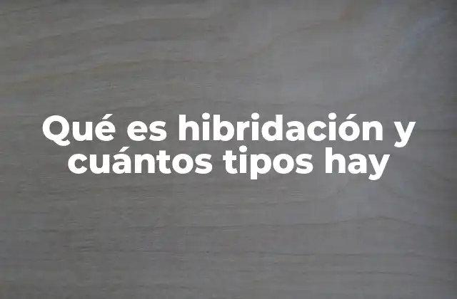 Qué es Hibridación y Cuántos Tipos Hay