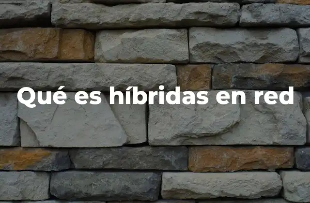 Qué es Híbridas en Red