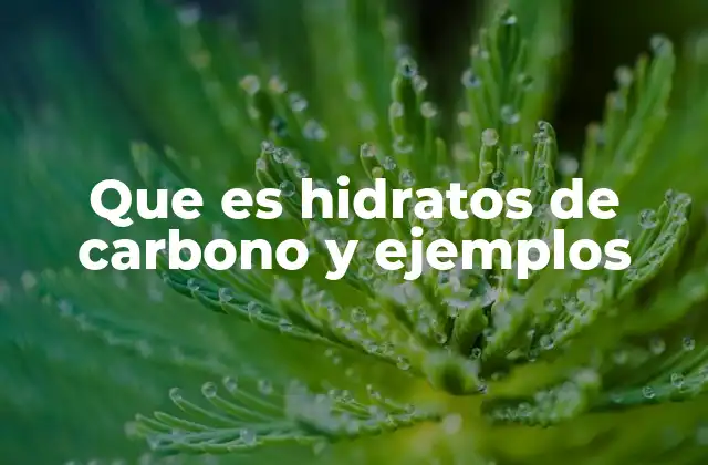 Que es Hidratos de Carbono y Ejemplos