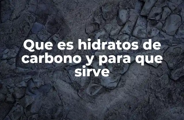 Que es Hidratos de Carbono y para que Sirve