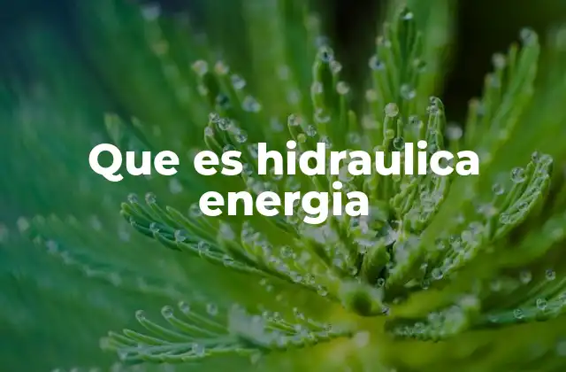 El papel de la energía hidráulica en el desarrollo sostenible
