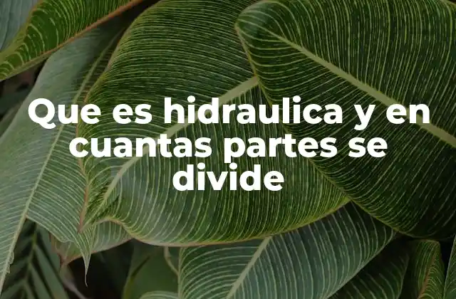 Que es Hidraulica y en Cuantas Partes Se Divide