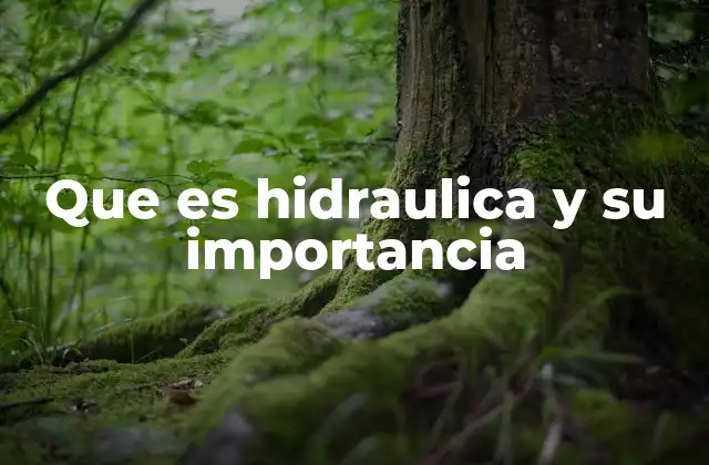 Que es Hidraulica y Su Importancia