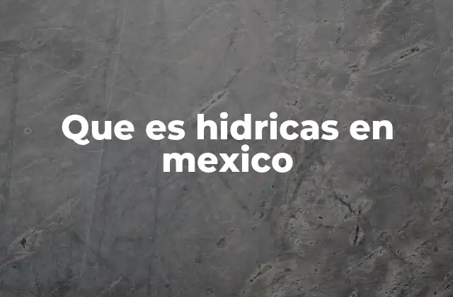 Que es Hidricas en Mexico 2 El papel de las hidráulicas en la infraestructura mexicana