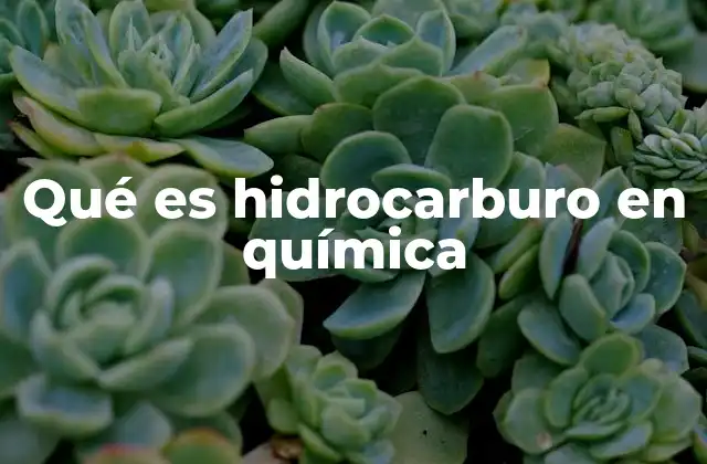 Qué es Hidrocarburo en Química