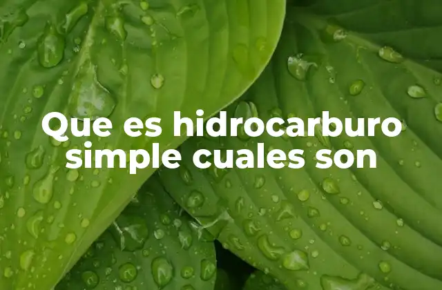 Que es Hidrocarburo Simple Cuales Son