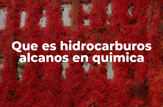 Que es Hidrocarburos Alcanos en Quimica