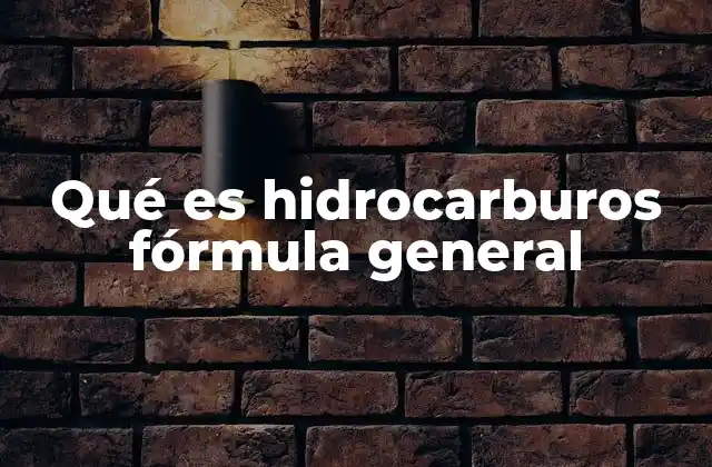 Qué es Hidrocarburos Fórmula General