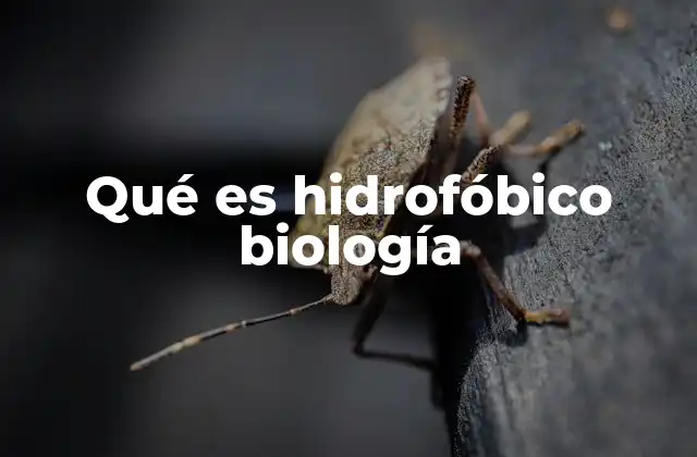 Qué es Hidrofóbico Biología