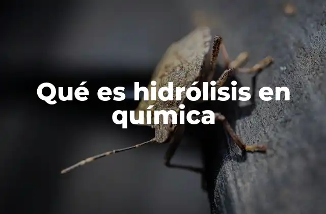 Qué es Hidrólisis en Química