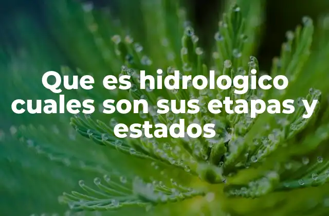 Que es Hidrologico Cuales Son Sus Etapas y Estados