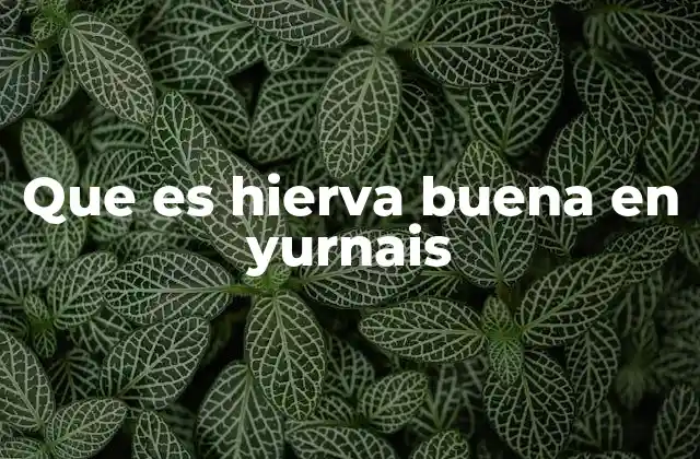 Que es Hierva Buena en Yurnais