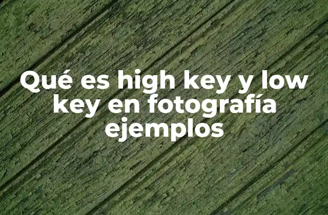 Qué es High Key y Low Key en Fotografía Ejemplos