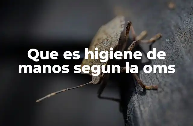 Que es Higiene de Manos Segun la Oms