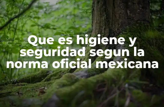 Que es Higiene y Seguridad Segun la Norma Oficial Mexicana