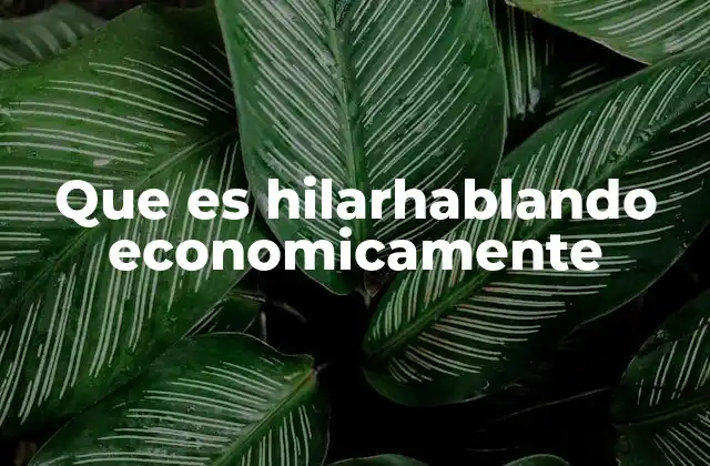 Que es Hilarhablando Economicamente