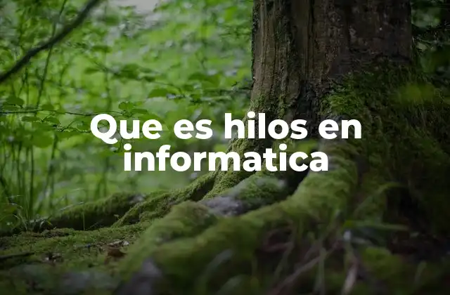 Que es Hilos en Informatica