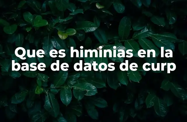 Que es Himinias en la Base de Datos de Curp