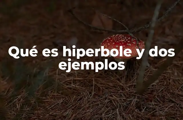 La hiperbole en el lenguaje cotidiano