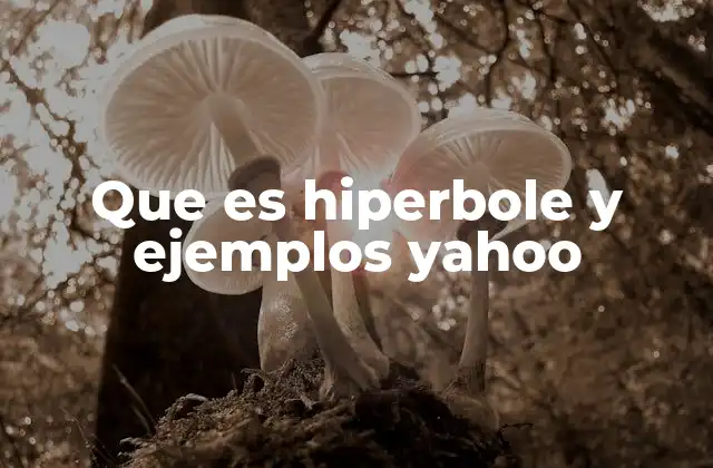 Que es Hiperbole y Ejemplos Yahoo 2 El uso de la hipérbole en la comunicación moderna