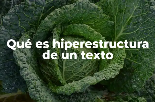 Qué es Hiperestructura de un Texto
