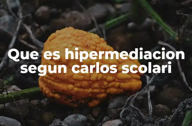 Que es Hipermediacion Segun Carlos Scolari