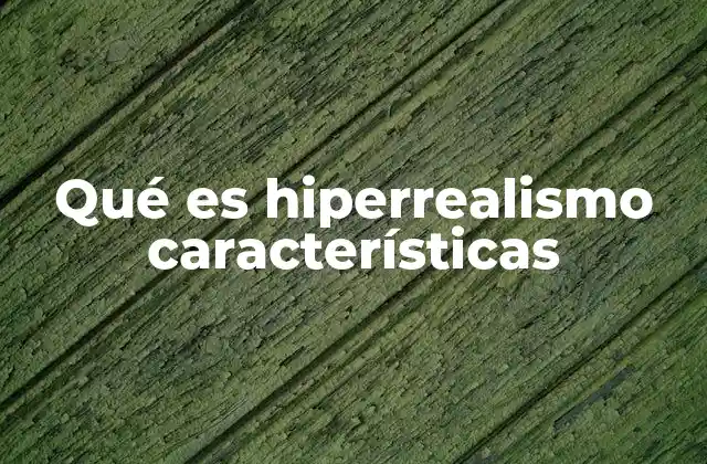 Qué es Hiperrealismo Características