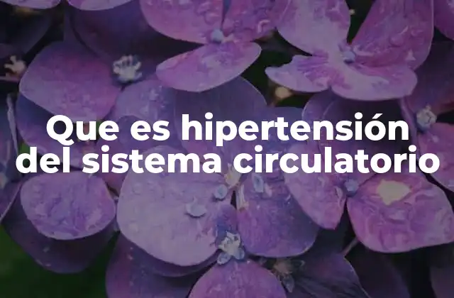 Cómo afecta la hipertensión al sistema circulatorio