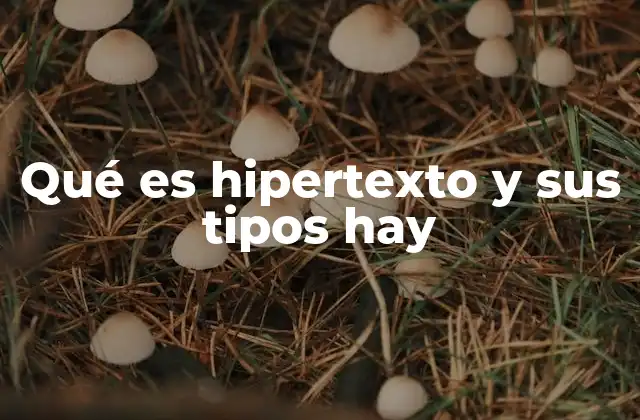 Qué es Hipertexto y Sus Tipos Hay