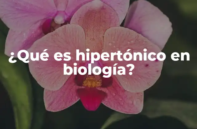¿qué es Hipertónico en Biología?