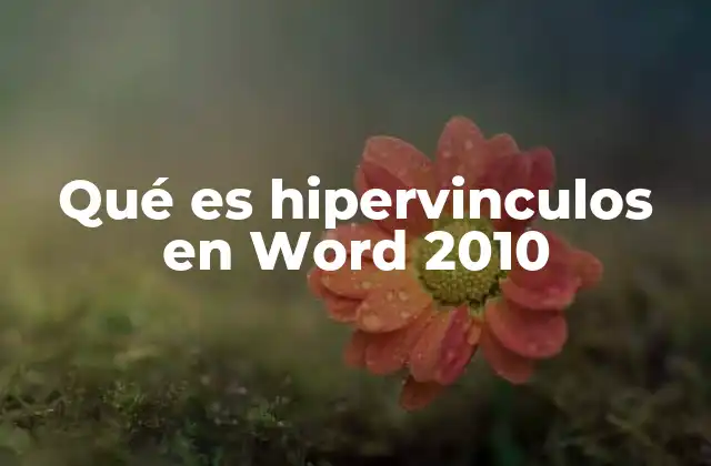 Qué es Hipervinculos en Word 2010