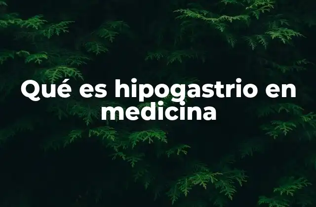 Qué es Hipogastrio en Medicina