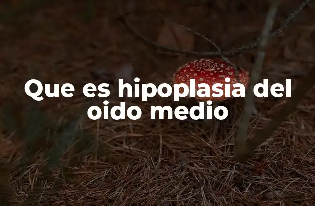 Que es Hipoplasia Del Oido Medio