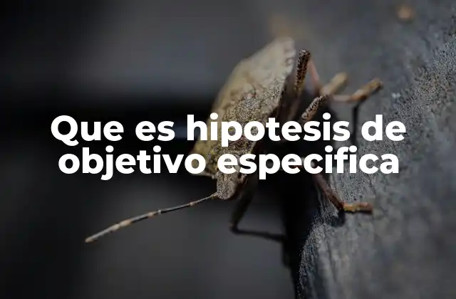 Que es Hipotesis de Objetivo Especifica