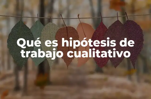 El papel de la hipótesis en la investigación cualitativa